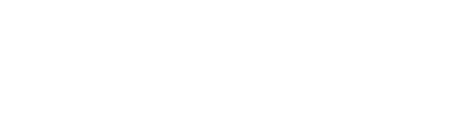 logo_header